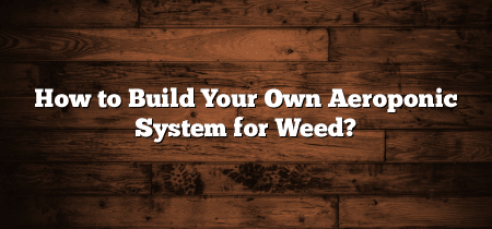 How to Build Your Own Aeroponic System for Weed?