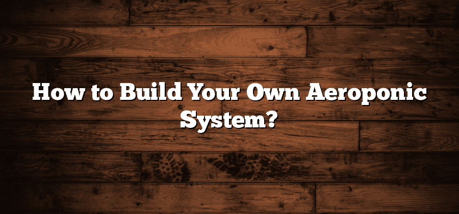How to Build Your Own Aeroponic System?