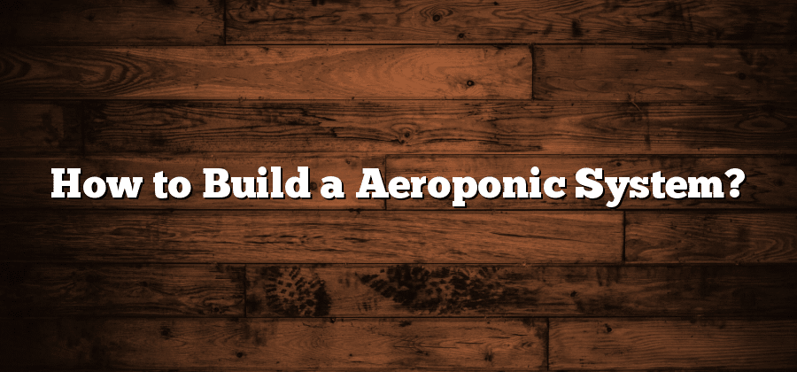 How to Build a Aeroponic System?