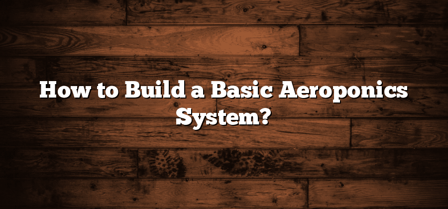 How to Build a Basic Aeroponics System?