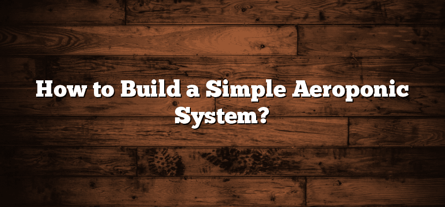 How to Build a Simple Aeroponic System?