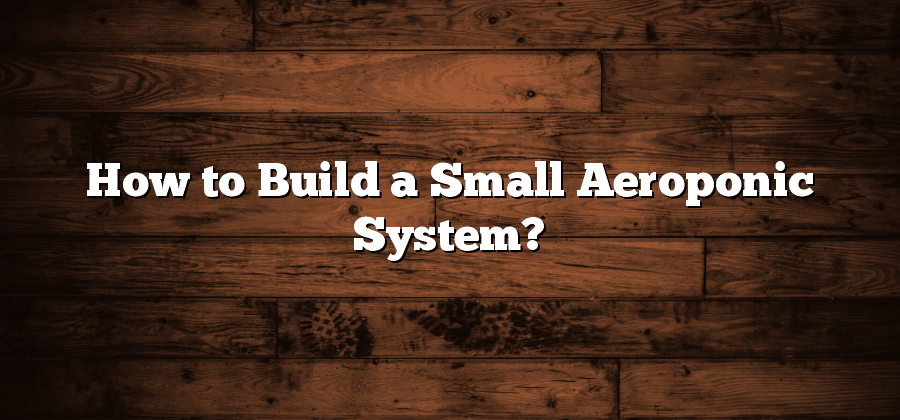 How to Build a Small Aeroponic System?