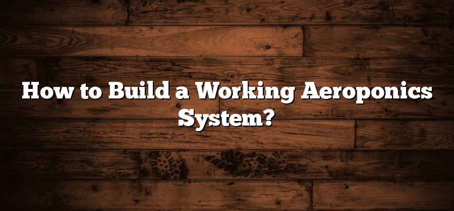 How to Build a Working Aeroponics System?
