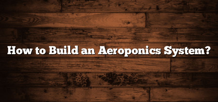 How to Build an Aeroponics System?