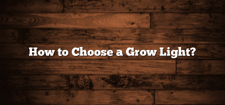 How to Choose a Grow Light?