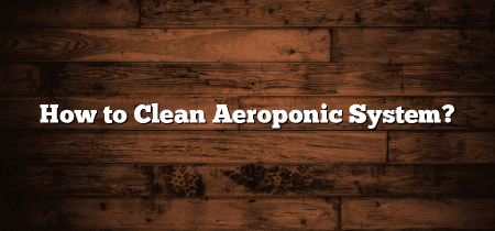 How to Clean Aeroponic System?