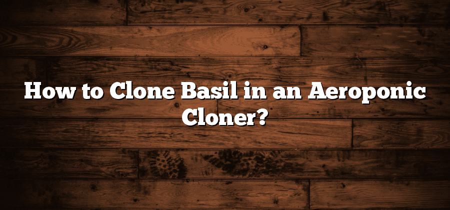 How to Clone Basil in an Aeroponic Cloner?