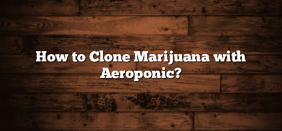 How to Clone Marijuana with Aeroponic?