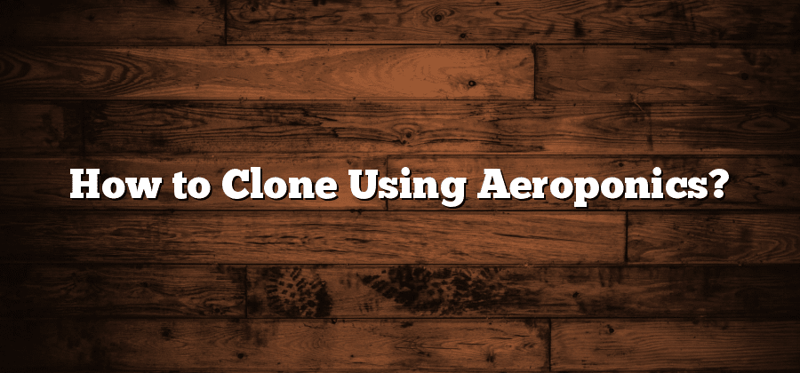 How to Clone Using Aeroponics?