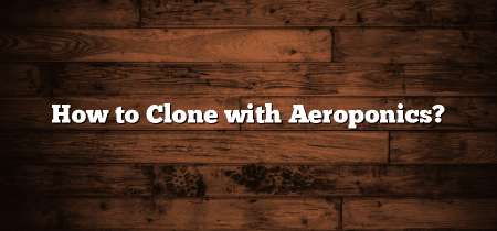 How to Clone with Aeroponics?