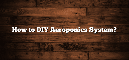 How to DIY Aeroponics System?