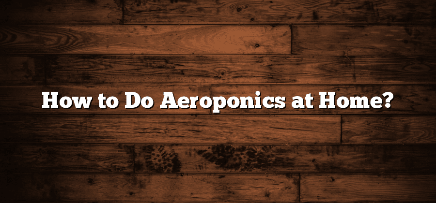 How to Do Aeroponics at Home?
