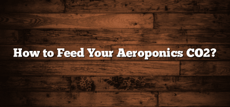 How to Feed Your Aeroponics CO2?
