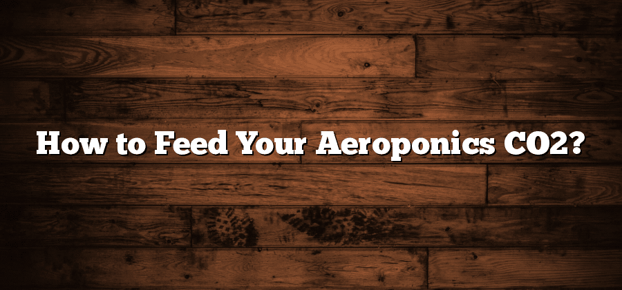 How to Feed Your Aeroponics CO2?