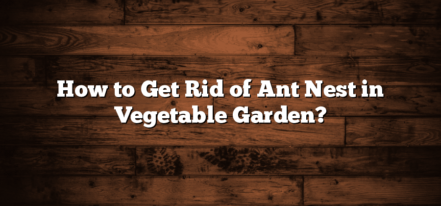 How to Get Rid of Ant Nest in Vegetable Garden?