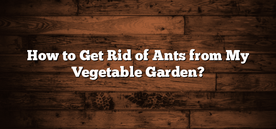 How to Get Rid of Ants from My Vegetable Garden?