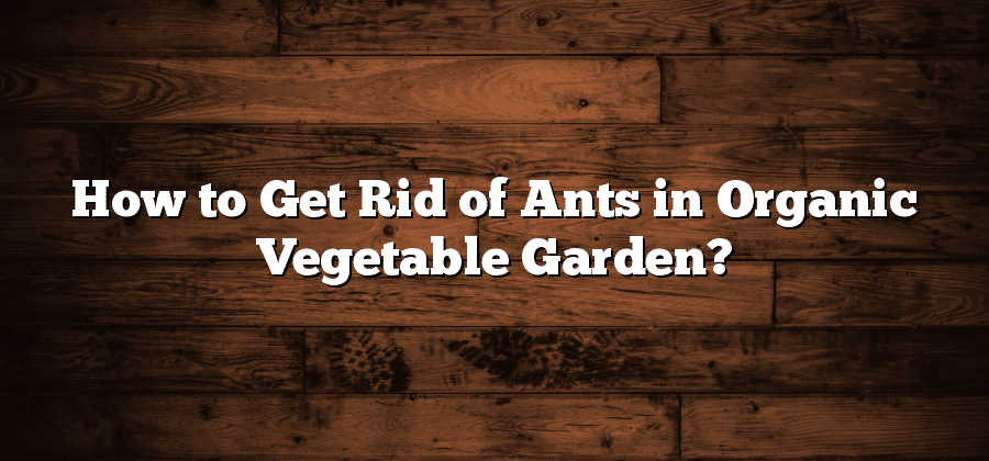 How to Get Rid of Ants in Organic Vegetable Garden?