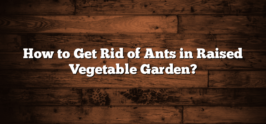 How to Get Rid of Ants in Raised Vegetable Garden?