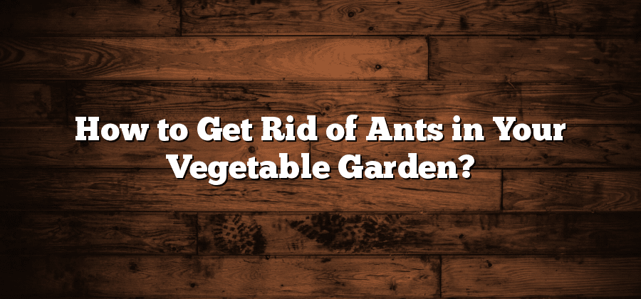 How to Get Rid of Ants in Your Vegetable Garden?