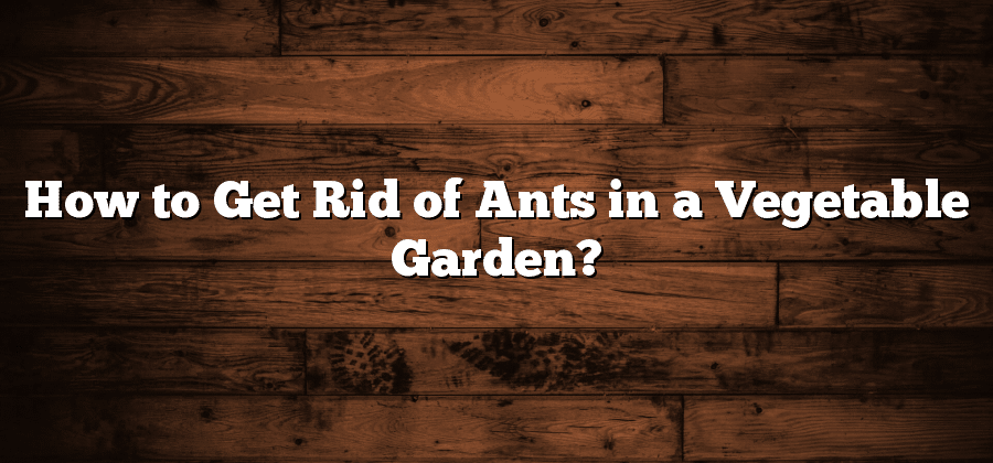 How to Get Rid of Ants in a Vegetable Garden?
