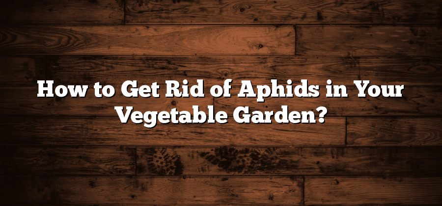How to Get Rid of Aphids in Your Vegetable Garden?