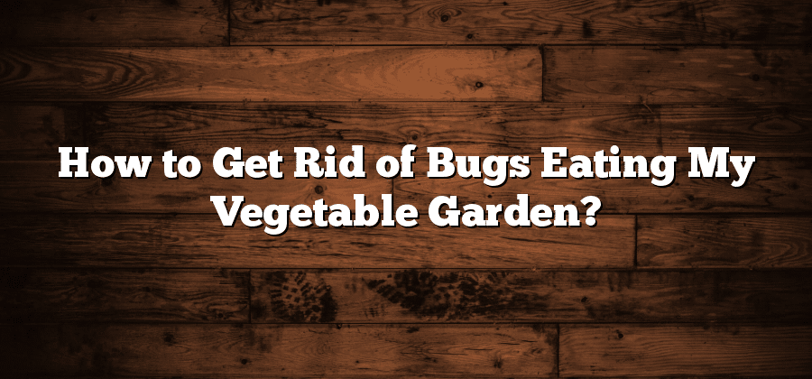 How to Get Rid of Bugs Eating My Vegetable Garden?