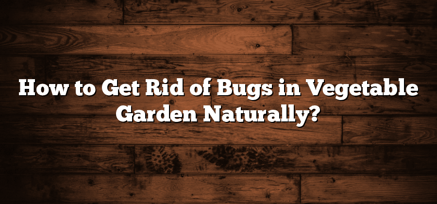 How to Get Rid of Bugs in Vegetable Garden Naturally?