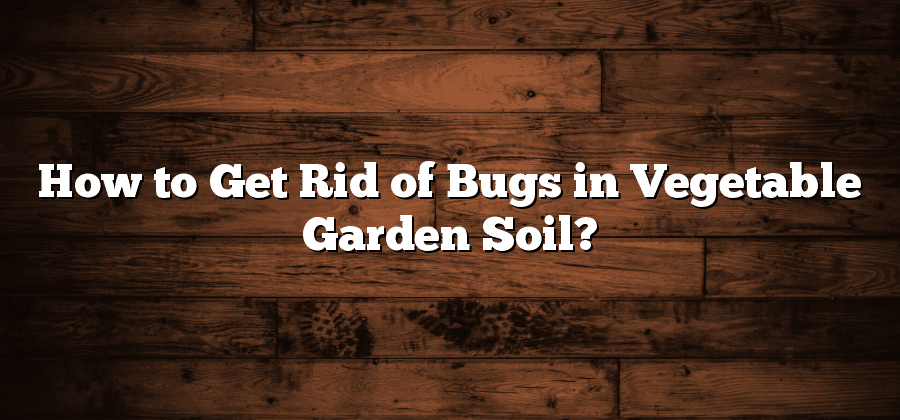 How to Get Rid of Bugs in Vegetable Garden Soil?
