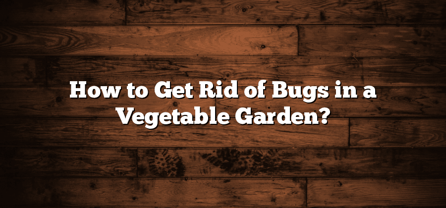 How to Get Rid of Bugs in a Vegetable Garden?