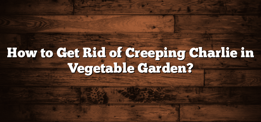 How to Get Rid of Creeping Charlie in Vegetable Garden?