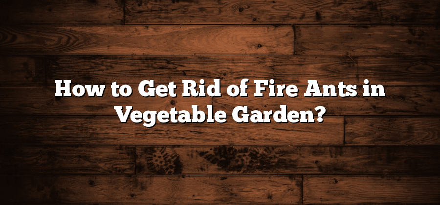 How to Get Rid of Fire Ants in Vegetable Garden?