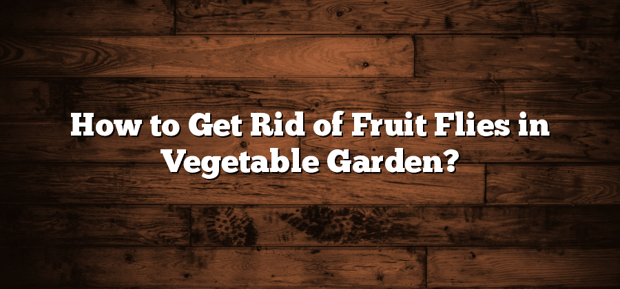 How to Get Rid of Fruit Flies in Vegetable Garden?