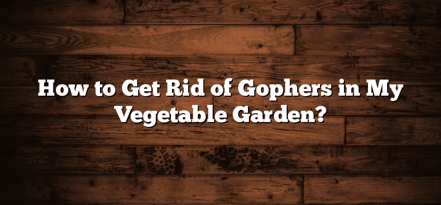 How to Get Rid of Gophers in My Vegetable Garden?