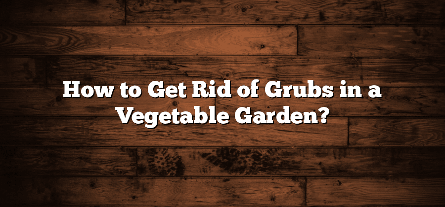 How to Get Rid of Grubs in a Vegetable Garden?