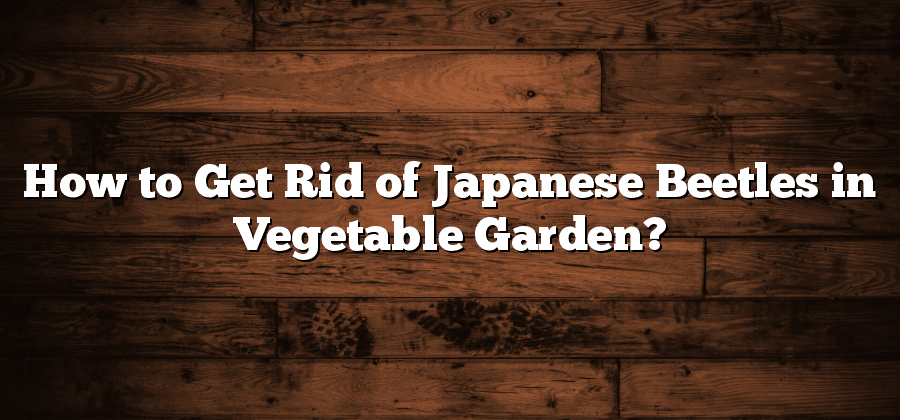 How to Get Rid of Japanese Beetles in Vegetable Garden?