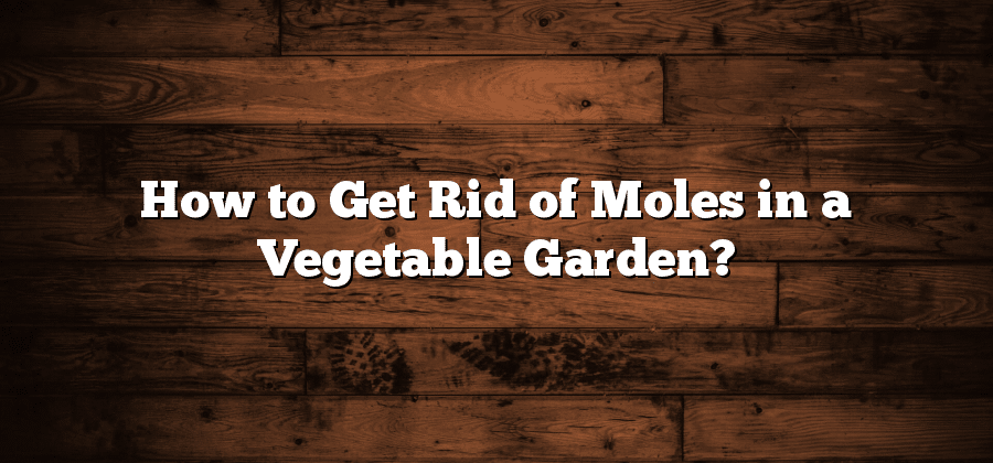 How to Get Rid of Moles in a Vegetable Garden?