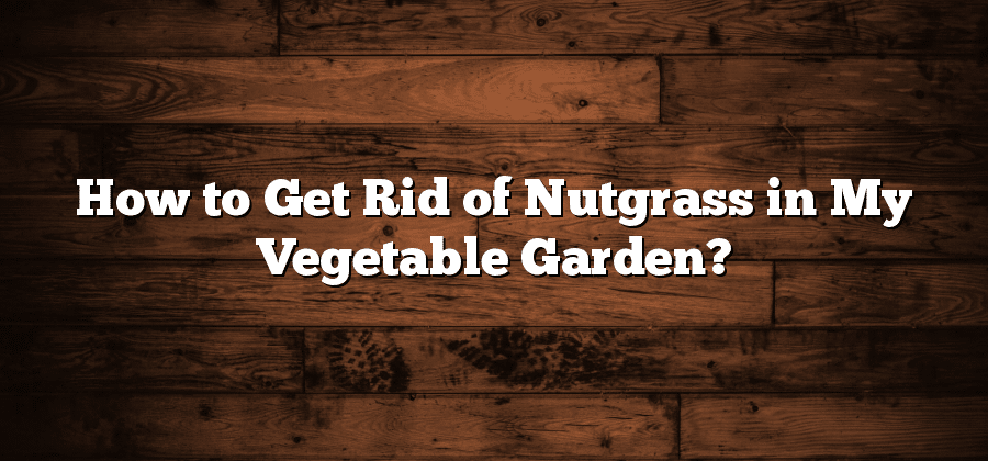 How to Get Rid of Nutgrass in My Vegetable Garden?
