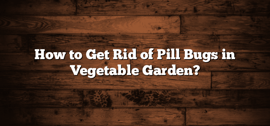 How to Get Rid of Pill Bugs in Vegetable Garden?