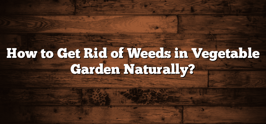 How to Get Rid of Weeds in Vegetable Garden Naturally?