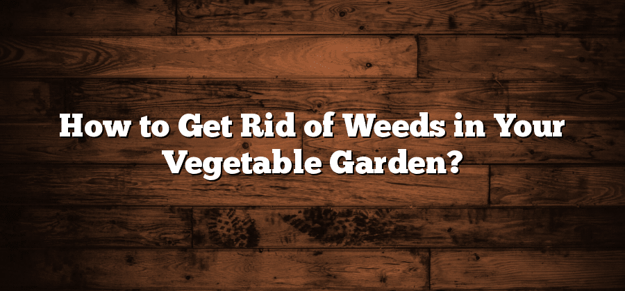 How to Get Rid of Weeds in Your Vegetable Garden?