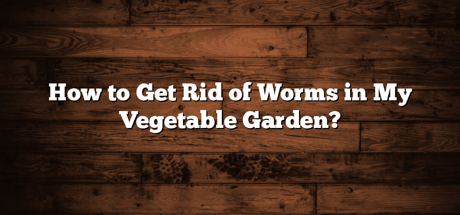 How to Get Rid of Worms in My Vegetable Garden?