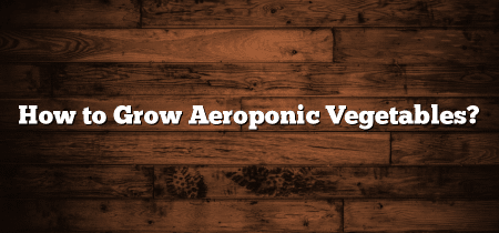 How to Grow Aeroponic Vegetables?