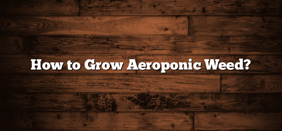 How to Grow Aeroponic Weed?