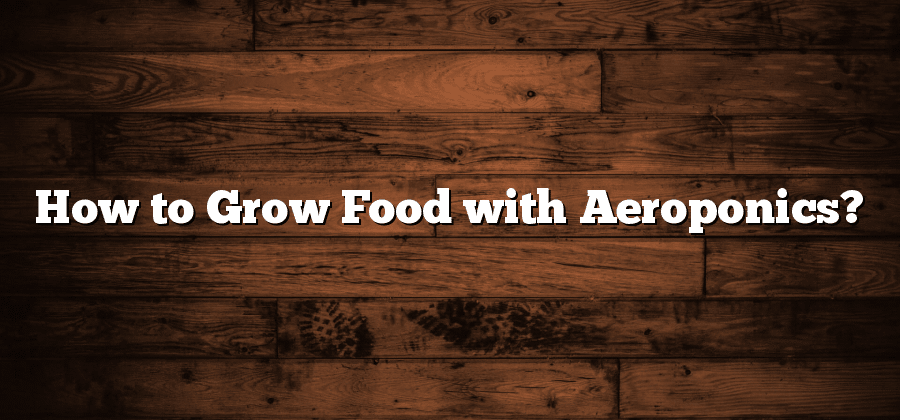 How to Grow Food with Aeroponics?