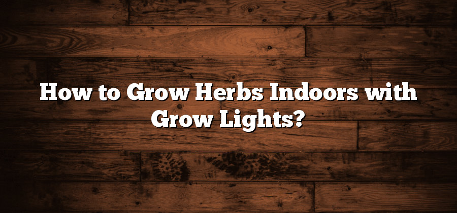How to Grow Herbs Indoors with Grow Lights?