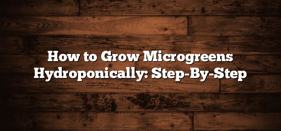 How to Grow Microgreens Hydroponically: Step-By-Step