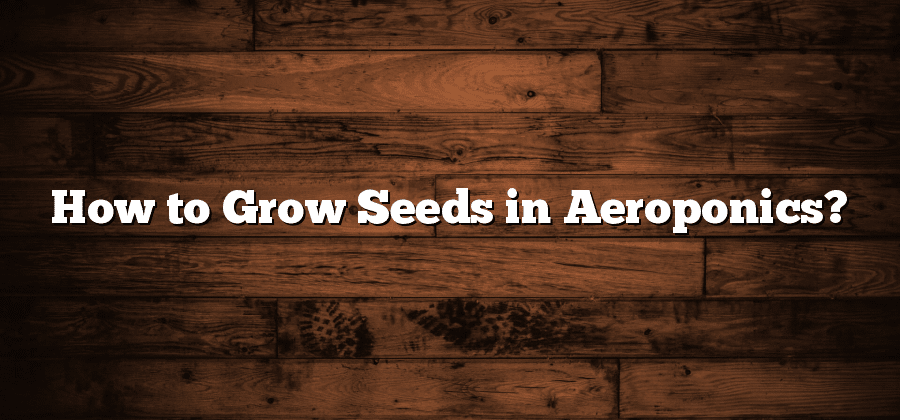 How to Grow Seeds in Aeroponics?