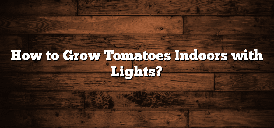 How to Grow Tomatoes Indoors with Lights?