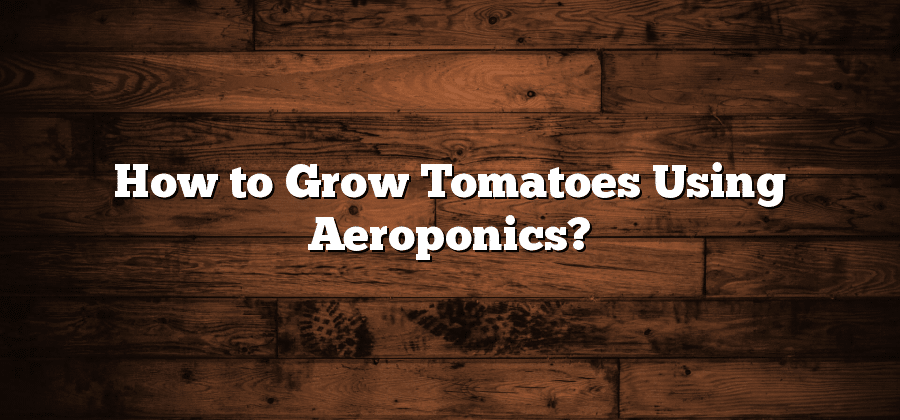 How to Grow Tomatoes Using Aeroponics?
