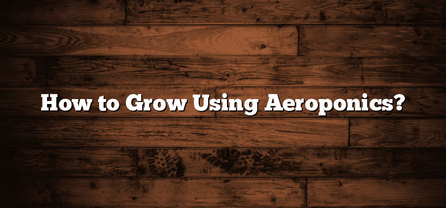 How to Grow Using Aeroponics?